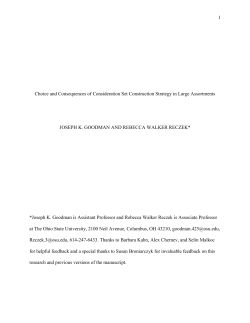 Choice and Consequences of Consideration Set Construction