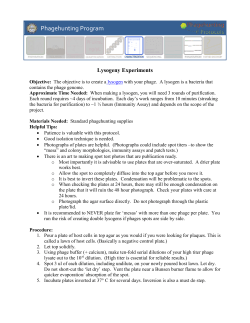 LysogenyProtocol_3.19.13