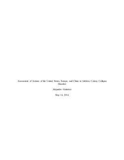 Assessment of Actions of the United States, Europe, and China to
