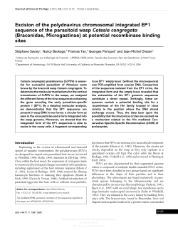 Excision of the polydnavirus chromosomal integrated EP1 sequence