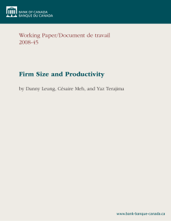 Firm Size and Productivity