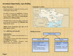 investment opportunity teaser