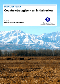 Country strategies &ndash; an initial review