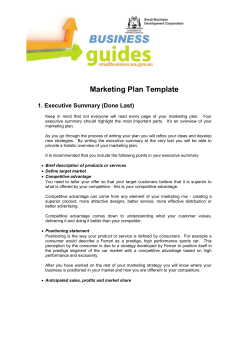 Business Guide: Marketing Plan Template