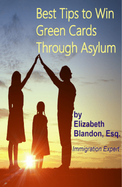 Best Tips to Win Green Cards Through Asylum