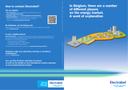 In Belgium, there are a number of different players on the energy
