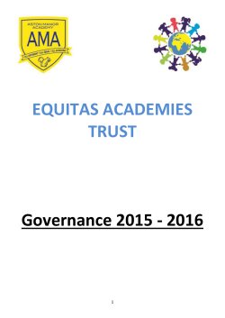 Governing Body Strategy Group