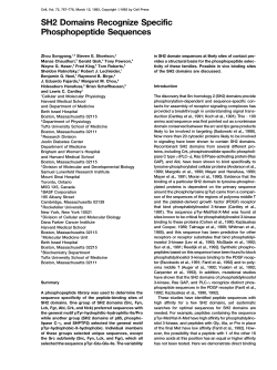 SH2 Domains Recognize Specific Phosphopeptide Sequences