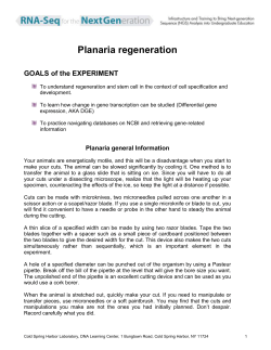 Planaria regeneration - RNA-Seq for the Next Generation