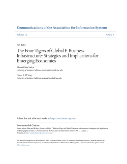 The Four Tigers of Global E-Business Infrastructure: Strategies and
