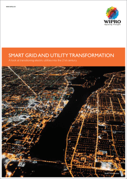 Smart Grid and Utility Transformation