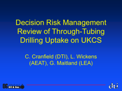 Decision Risk Management Review of TTD