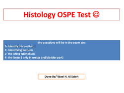 Histology OSPE test