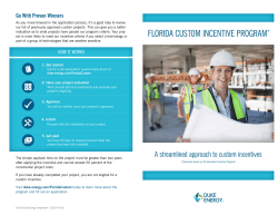 florida custom incentive program