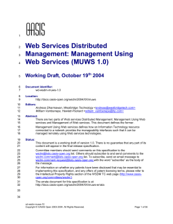 WSDM MUWS specification v1.0