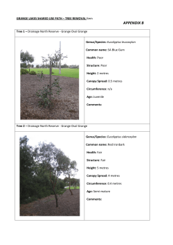 Item APPENDIX B - City of Charles Sturt