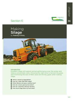 Making Silage