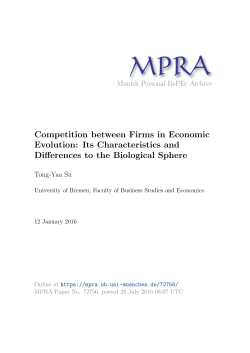 Competition between Firms in Economic Evolution