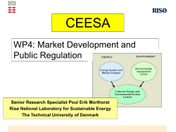 Investor Response to Consumer Elasticity