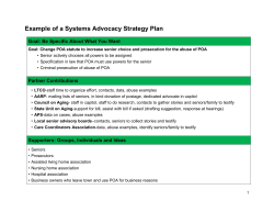 Example of a Systems Advocacy Strategy Plan