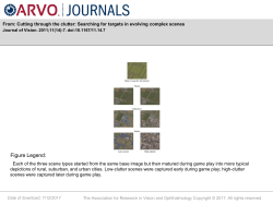 Slide - Journal of Vision