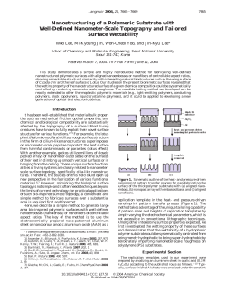 Nanostructuring of a Polymeric Substrate with Well