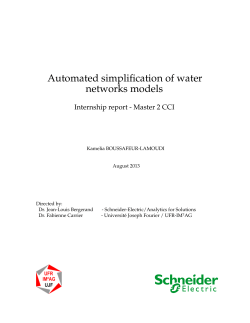 Automated simplification of water networks models