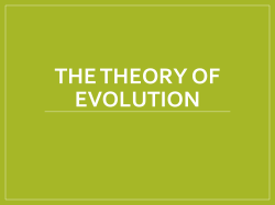 Evidence Supporting The Theory of Evolution