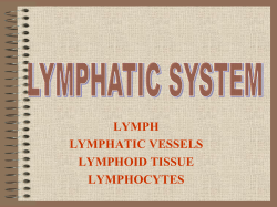 LYMPHATIC SYSTEM
