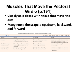 Muscles That Move the Pectoral Girdle and Arm