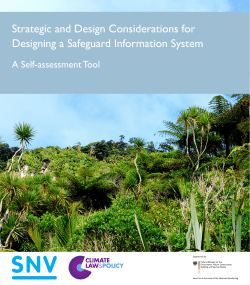 Strategic and Design Considerations for Designing a Safeguard