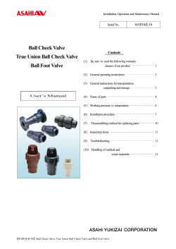 Ball Check Valve True Union Ball Check Valve Ball Foot Valve
