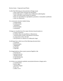 Review Game Worksheet