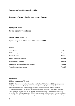 Economy Audit and Issues (679.6 KiB)