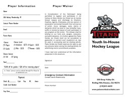 Youth In-House Hockey League