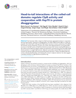 Head-to-tail interactions of the coiled