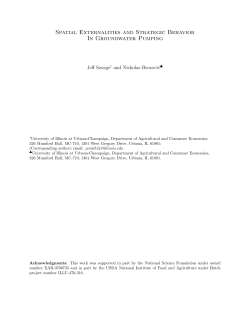 Spatial Externalities and Strategic Behavior In