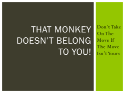 That Monkey Doesn*t Belong to You!
