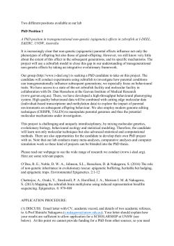 Here - Shinichi Nakagawa