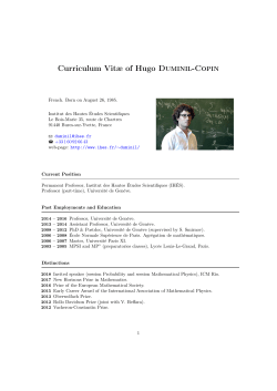 Curriculum Vit&aelig; of Hugo Duminil-Copin