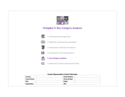 Key Category Analysis