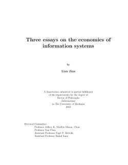 Three essays on the economics of information systems