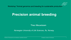 Precision (animal) breeding