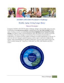 President`s Challenge Menu of Strategies