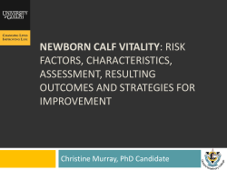 NEWBORN CALF VITALITY: RISK FACTORS, CHARACTERISTICS