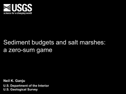 Sediment budgets and salt marshes: a zero