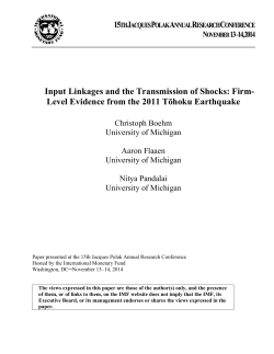 Input Linkages and the Transmission of Shocks: Firm-Level