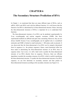 6.5 The RNA Secondary Structure Prediction with Simple Pseudoknots