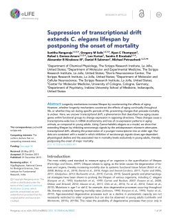 Suppression of transcriptional drift extends C. elegans lifespan by