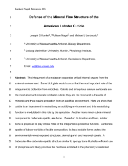 KunkNagJer_14Nov2011_4JSR